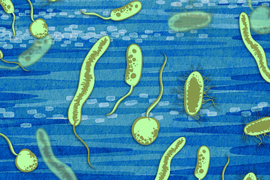 microbes in water