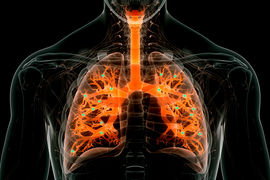 Rendering of a translucent person shows glowing orange pathways inside of lungs. Some glowing green ‘nanoparticle’ dots appear inside the pathways.