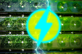 An electric voltage icon appears in the middle of the image, in light blue and yellow. In the green-tinted background, the left side shows dirty photobioreactors; the right side shows clean photobioreactors.