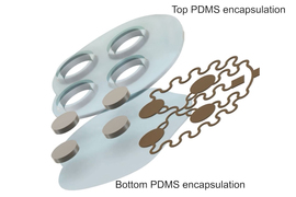 Rendering shows the parts of the patch. It has the top labeled “top PDMS encapsulation,” which is circular with 4 circular holes for the 4 transducers that look like silver discs. Copper-colored wavey threads connect the transducers. The bottom layer is labeled “bottom PDMS encapsulation,” and it is solid.