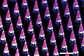 A close-up of the microneedles which are arranged in a grid. They are lit in pink, and are sharp pyramids. A line shows the length of “1mm,” and these needles are about that link.