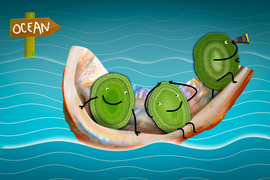 3 cartoony green microbes ride a raft made of shell on a blue ocean. One microbe has a telescope to look ahead. A sign in the water says they are heading towards to the “Ocean.”