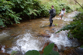 Two people are in a shallow stream surrounded by foliage.