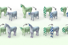 2 rows of 4 images each. The images compare models of a horse and cow’s volume. The 3D models are sliced like clay, and the inside of the figures show a checkerboard of white and green or blue patterns. In the images comparing the volume of the two sliced figures, the checkerboards show the same number of squares, but the squares are stretched and pulled.