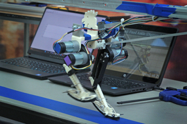 A small robot has chicken-type legs and walks on a piece of blue tape. 2 laptops are in the background.