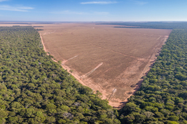 Aerial view of a forest, with a large wedge of deforested, brown dirt.