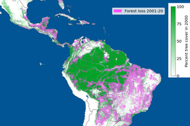 Map of Central and South America. The top left of South America, in Amazonas, Brazil, is colored green, but around Central and South America is very pink.
