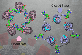 On left, labeled “Open State,” are noodle-like E proteins tightly bundled together in a helix shape, with amino acids close by. On right, labeled “Closed State,” the E protein are bundled more loosely, with amino acids connected further away.