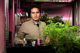 Benedetto Marelli stands in a plant nursery, in between shelves of plant starts.
