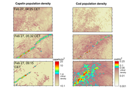 Images on left and right represent capelin and cod populations in bright colors, and show a large amount of cod gathering.