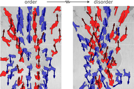 Two images show an aerial view of people walking on a crosswalk. On left is “order” and people walk in straight lines. On right is “disorder” and people are bumping into each other.