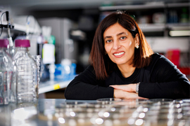 Nikta Fakhri in the lab, with petri dishes in foreground.