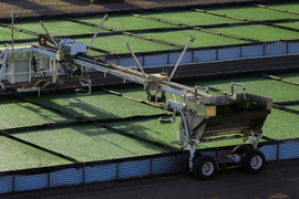 Machines and crops in a field