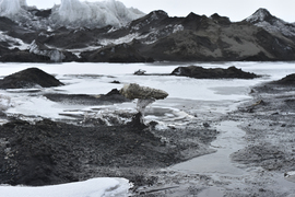 A marine sponge next to meltwater ponds