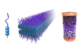 Components of the recyclable battery