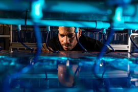 Eliezer Calo working in the lab