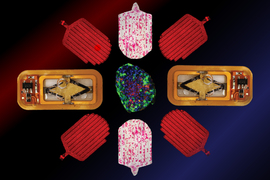 The device and pieces are arranged in a mandala pattern. The device has liquid inside and bubbles. The pieces have pathways, some filled with pink dots.