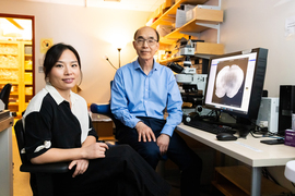 Tingting Zhou and Guoping Feng next to computer projecting an X-ray image