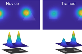 Two views, on left the “novices” look at the entire image. On right, those “trained” look only at the relevant side of the image.