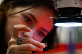 Diana Grass working in a lab