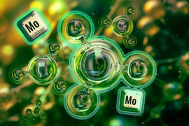 Round molecules and molybdenum icon from Periodic table labeled “42.”