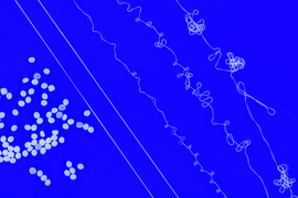 From left to right: close-up views of dozens of tiny resin pellets, and then five strings of yarn that get more spaghetti-like.