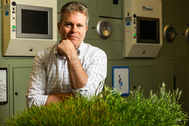 David Des Marais portrait in the lab with green grass starts in foreground.