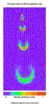 The new atom laser emits pulses of coherent atoms, or atoms that "march in lockstep." Each pulse (shown here) contains 100,000 to several million coherent atoms andis accelerated downward by gravity. The curved shape of the pulses was caused by gravity and forces between the atoms. (Field of view 2.5 mm X 5.0 mm.)