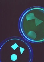 "Smart" gels in petri dishes in Professor Tanaka's laboratory form into basic shapes of circle, triangle and square. Professor Tanaka said, "My belief is that science has to be beautiful, and has to be simple."