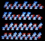 Molecular models of the ionic self-complementary peptides that form distinct polar and nonpolar sides. These peptides undergo molecular self-assembly to form the nanofibers that further assemble into scaffold.