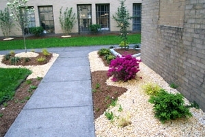 The new courtyard garden between Buildings 4 and 6B.