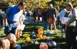 Visitors to a glass pumpkin patch staged by BAGI (the Bay Area Glass Institute) in California admire the work and choose their pumpkins carefully (above). The photo at right shows a selection of glass pumpkins from an earlier BAGI show. The Great Glass Pumpkin Patch will appear on Kresge Oval next Saturday and Sunday from 9 a.m. to 5 p.m.