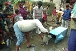 A biosand filter to clean the water is tipped over into the muck where animals roam by a Jonbarsha village resident impatient to clean out the old water.