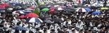 Some of the hundreds of umbrellas that dotted Killian Court during a rainy Commencement.