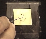 Members of the Fink lab use laser light - produced by a powerful carbon dioxide laser and transported through the new photonic bandgap fiber - to burn a smiley face in one of the materials that is used to make the fiber.