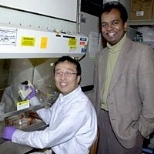 Research Affiliate Dongfang Liu and Associate Professor Ram Sasisekharan, shown here in the lab in 2002, are part of an MIT team whose research on complex sugars has has led to a variety of potential medical applications. This month the team, led by Sasisekharan, report the creation of designer drugs for preventing blood clots.