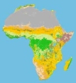 Satellite image of vegetation types in Africa