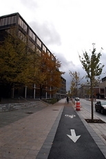 Vassar Street renovations include ginkgo trees, a bike path and new streetlamps.