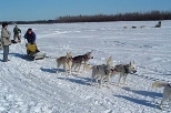 Sophomore Ross Fu (far left) looks on as a sled dog musher shows her skills.