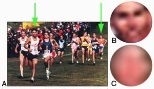 Objects can be defined both by intrinsic and contextual cues. In image A, some of the runner's faces have enough intrinsic information to permit their classification as faces based on local image structure (image B), while others almost entirely lack such intrinsic cues (image C) and rely on contextual information. Many real-world viewing situations (such as observing objects at a distance, throug...