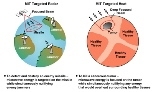 Left: To detect and destroy an enemy missile, microwave energy is targeted on the missile while simultaneously nullifying enemy jammers. Right: To kill a cancerous tumor, microwave energy is focused on the tumor while simultaneously nullifying any energy that would overheat surrounding health tissue.