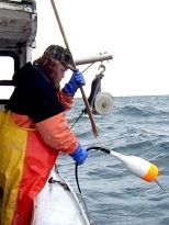 Maine fisherman Mattie Thompson field-tests Clifford Goudey's whale-free buoy on his boat F/V Shearwater.