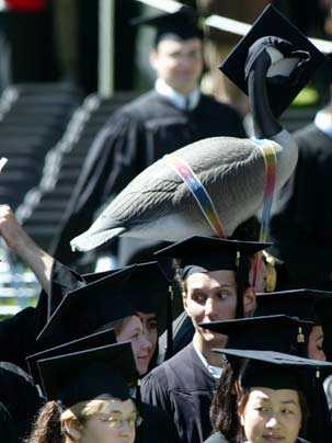 Cameron Bass is obscured by his fellow students, but his plastic lawn goose isn't, as it rides to Commencement strapped to his head and wearing his mortarboard.