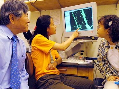 Susumu Tonegawa, Nobel laureate and director of the Picower Center for Learning and Memory at MIT, surveys neurons on the monitor of research affiliates Mansuo Hayashi, center, and Hae-Yoon Jung, right.