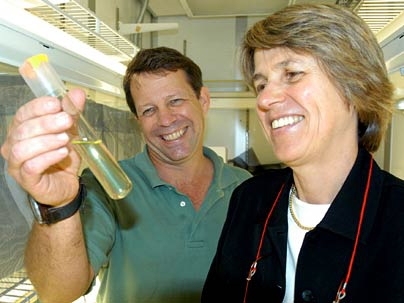 Marine biologists Ed DeLong and Penny Chisholm, newly named Moore Foundation Investigators in Marine Science, check out an ocean water sample.