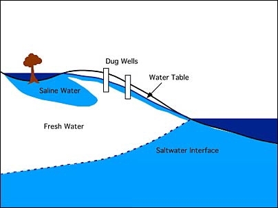 A model of the way the tsunami may have contaminated coastal wells: tsunami waves brought seawater to inland areas where it pooled for several days, before migrating back toward the coast with groundwater flow.