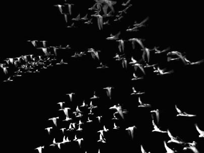 This image, generated in Maya 5.0-6.0, is part of 'The Body +' exhibit at the MIT Museum through May 1.