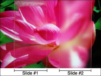 Image shows two glass slides on top of a photo of a lotus flower. Both slides were placed in a freezer then brought out into humid air before being positioned over the photo. Slide #1 is coated with MIT's anti-fogging coating, Slide #2 is not.