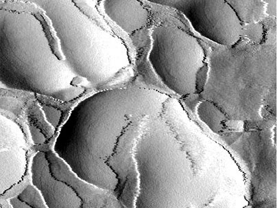 This image of the inside of a seashell shows the smooth morphology of individual nanobumps and their attached biopolymers. The biopolymers glue the layers of the shell together to create a create a strong structure out of two relatively weak materials. <a onclick="MM_openBrWindow('seashell-bumps-enlarged.html','','width=509, height=583')">
<span onmouseover="this.className='cursorChange';">Open i...