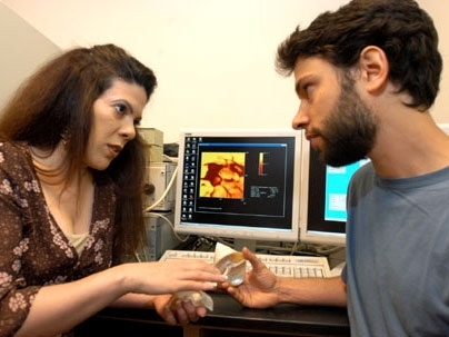 Professor of Materials Science Christine Ortiz, left, examines a seashell with graduate student Benjamin Bruet. Samples of the shell's makeup appear on the screen. Ortiz and Bruet are researching the natural armor system used by shells.